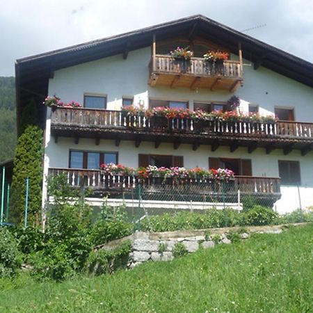 Bauernof Mittermueller Apartment Feldthurns Bagian luar foto